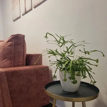 La Vera De Gredos Apartment Villanueva De La Vera