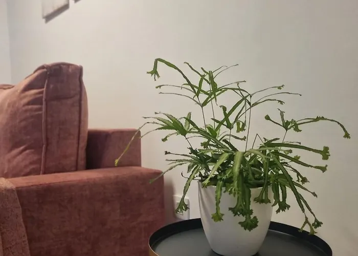 La Vera De Gredos Apartment Villanueva De La Vera